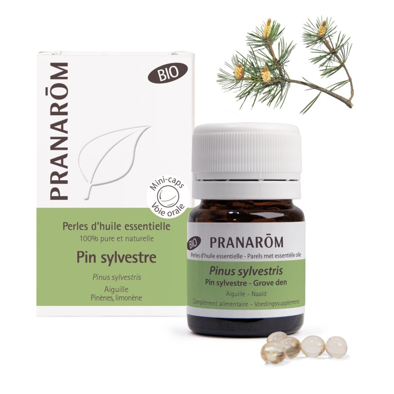 PRANAROM Perles d'huile essentielle de Pin Sylvestre Bio