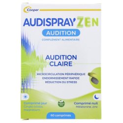COOPER-AudiSpray'Zen-Audition