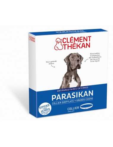 PARASIKAN  COLLIER Grand Chien