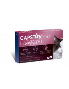 CAPSTAR Chat 11,4mg traitement anti-puces