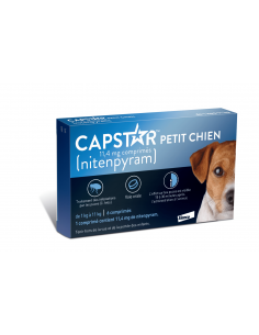 CAPSTAR Traitement Antiparasitaire Petit Chien 11,4mg - Boite bleu et noir avec un chien à droite.