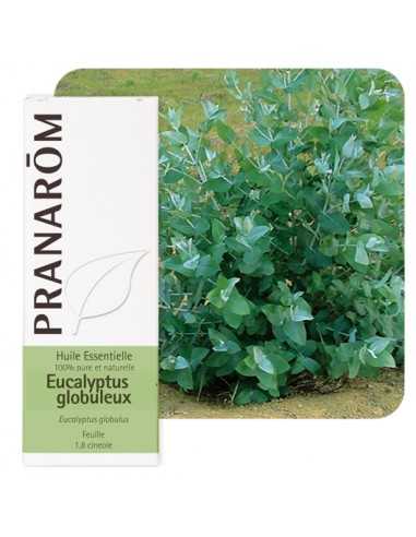 PRANAROM Huile essentielle d'Eucalyptus globuleux