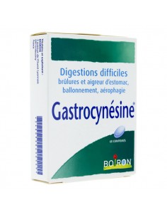 BOIRON Gastrocynésine