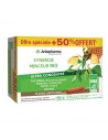 ARKOPHARMA Synergie Minceur Bio OFFRE SPECIALE