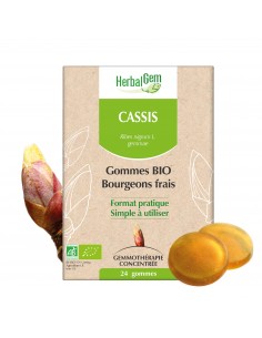 HERBALGEM Gommes bourgeons cassis - Boite en carton marron et verte avec un bourgeon de cassis